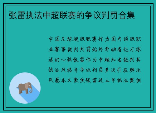 张雷执法中超联赛的争议判罚合集